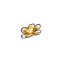 MagnoliaHawaii