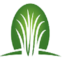 dubaigrasscarpet