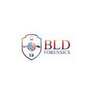 bldforensicsllc