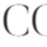 CorpusChristiIV