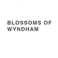 blossomofwyndham