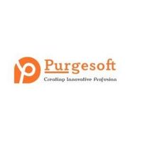 purgesoftllc