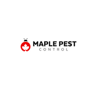maplepest