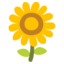 :sunflower: đģ